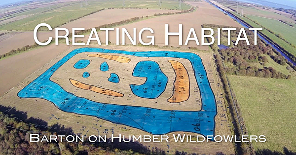 Wildfowlers Creating Habitat.