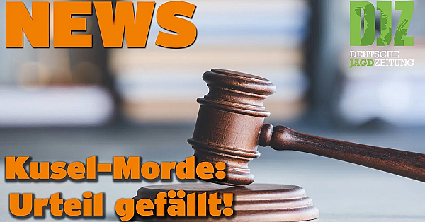 Djz News 30.11.2022