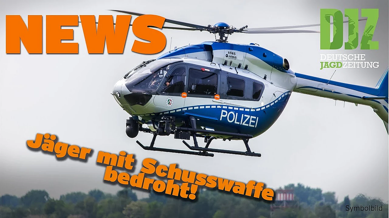 Djz News 05.04.2023