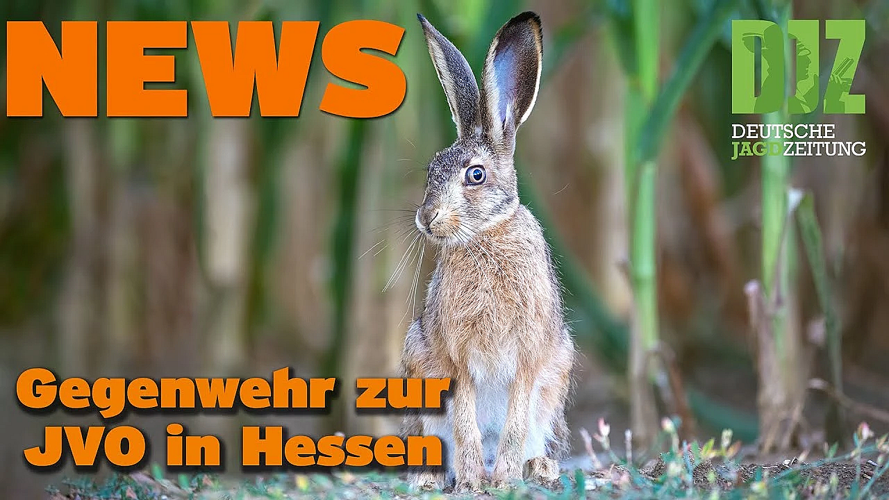 Djz News 05.10.22