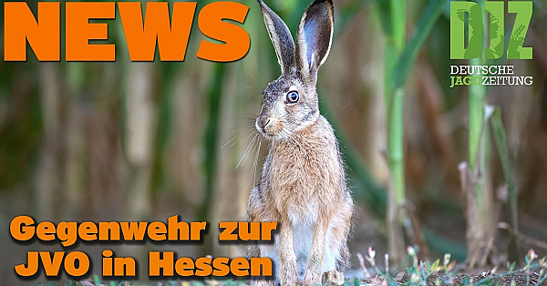 Djz News 05.10.22