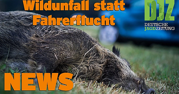 Djz News 14.09.2022