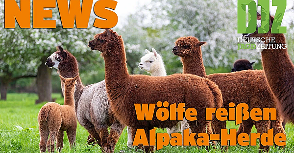 Djz News 21.09.2022