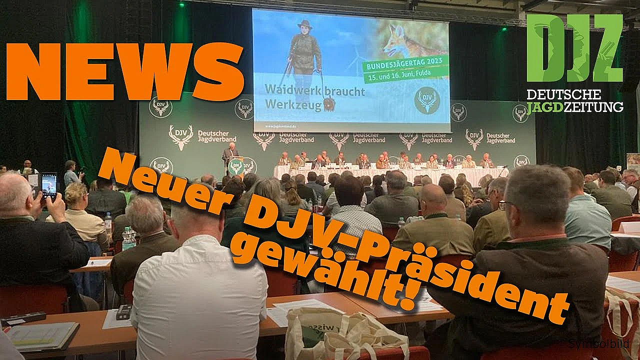 Djz News 21.06.2023