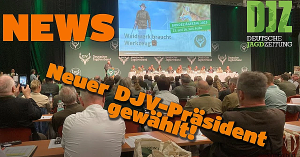 Djz News 21.06.2023
