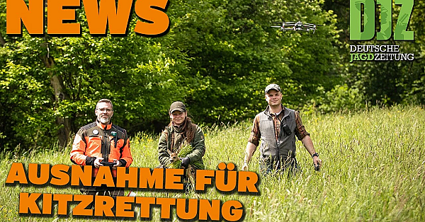 Djz News 20.03.2024