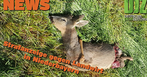 Djz News 15.05.2024