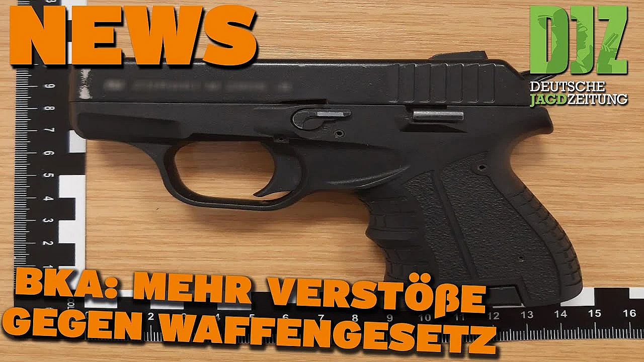 Djz News 14.08.2024