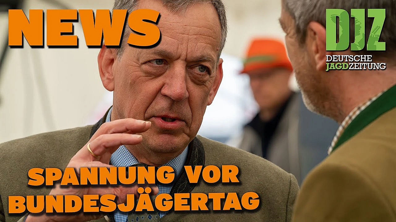 Djz News 14.06.2023