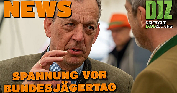 Djz News 14.06.2023