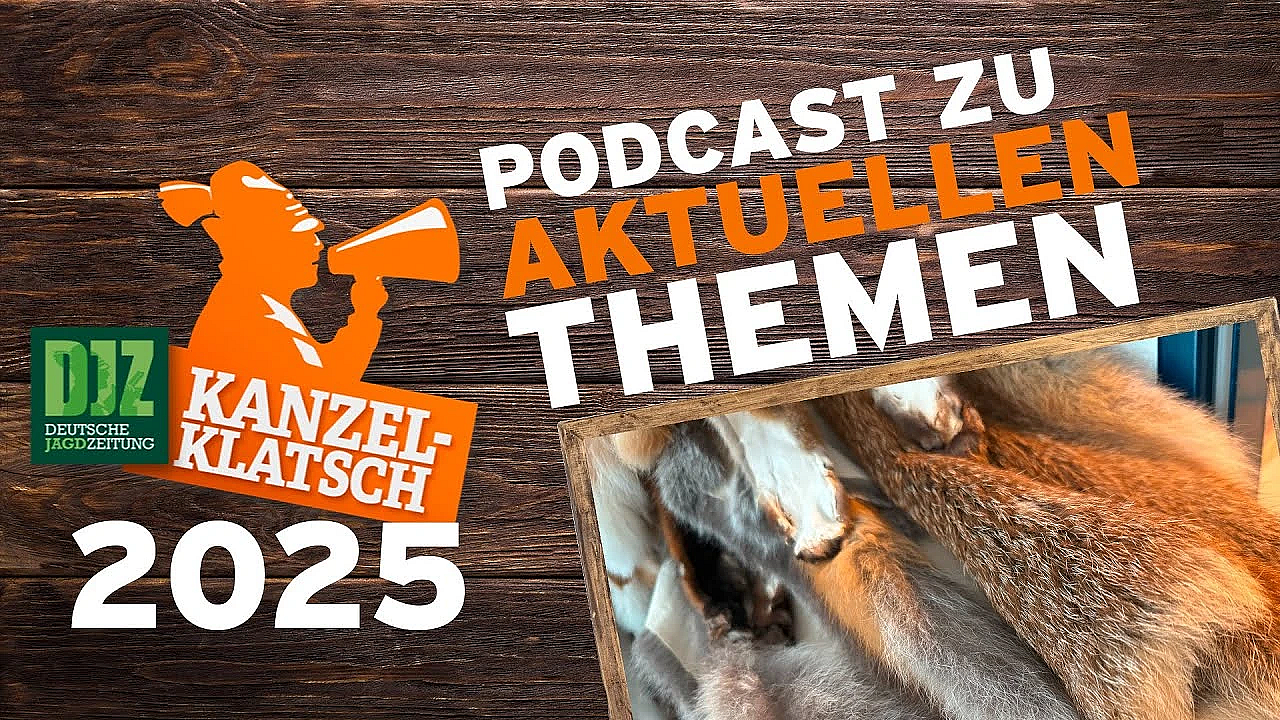 Djz-kanzelklatsch - Rund Um Fuchsbälge
