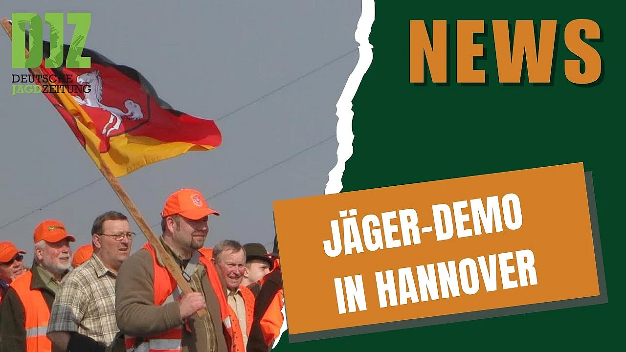 Djz News 29.01.2025