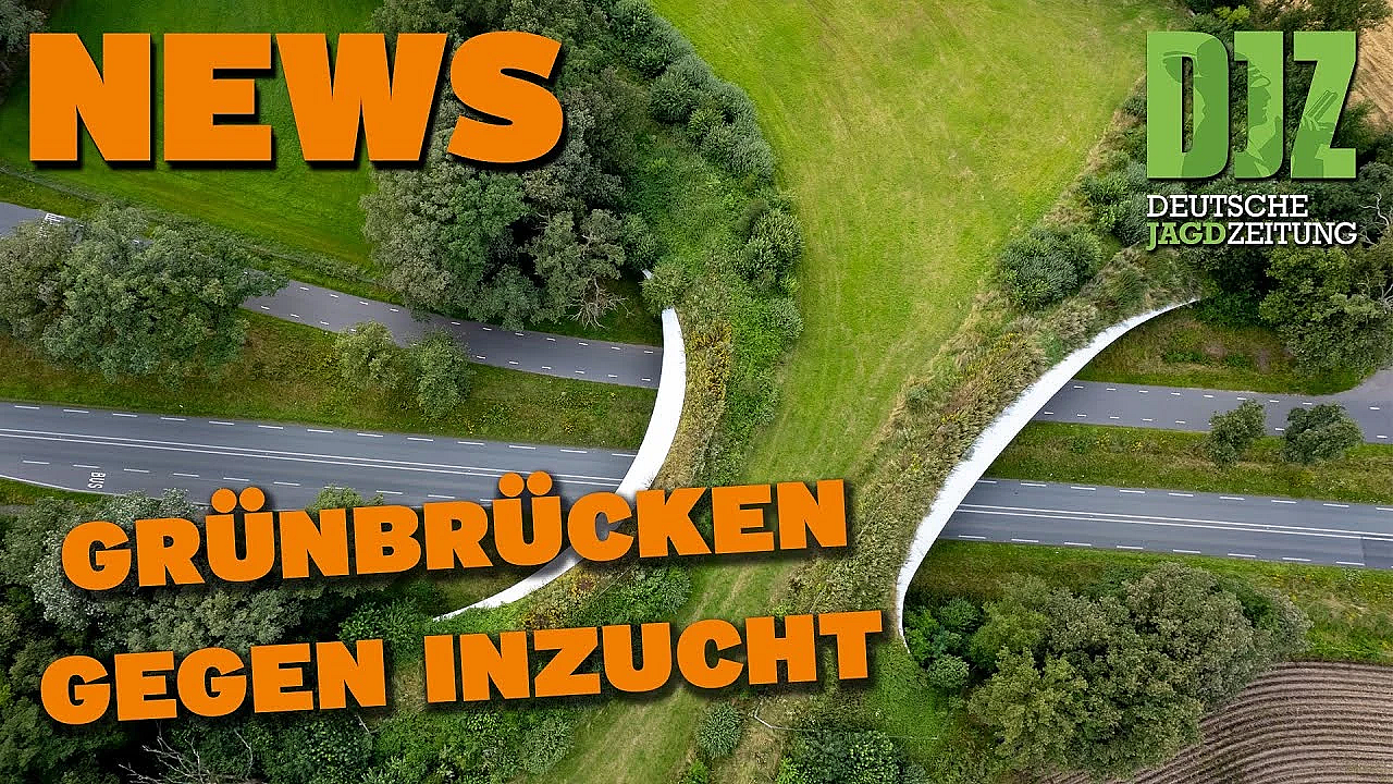 Djz News 29.03.2023