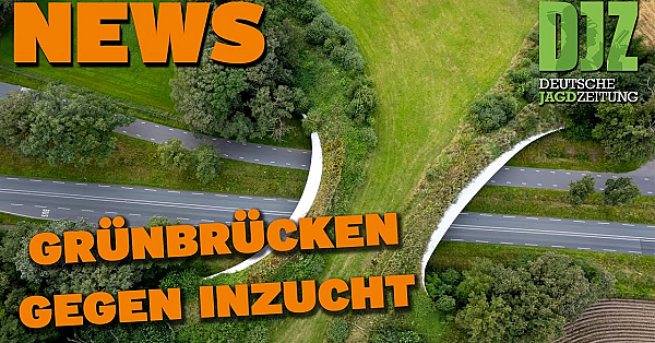 Djz News 29.03.2023