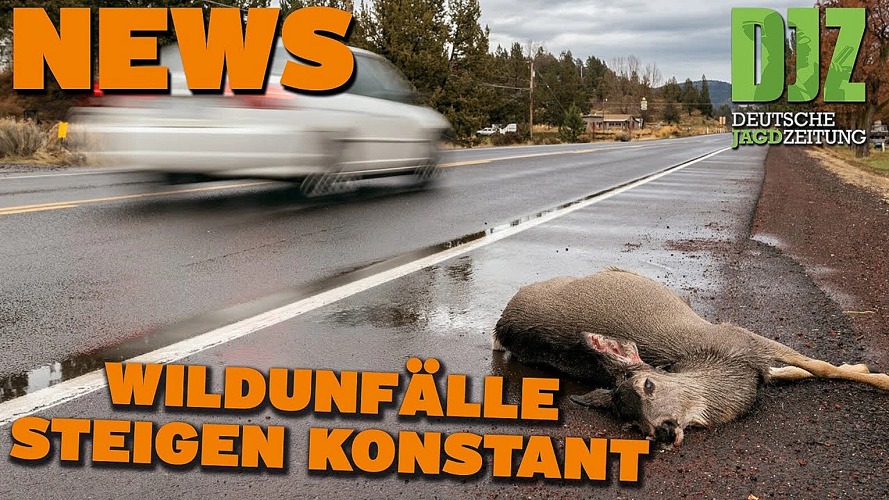 Djz News 22.05.2024