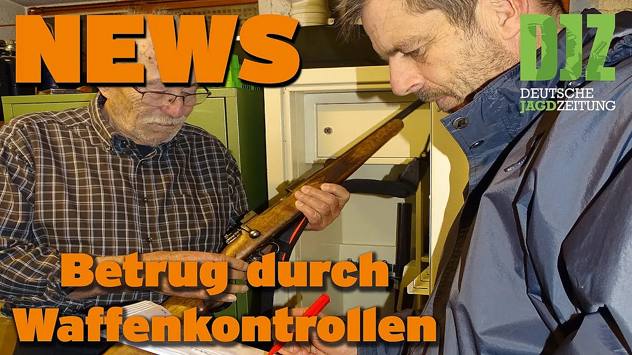 Djz News 11.01.2023