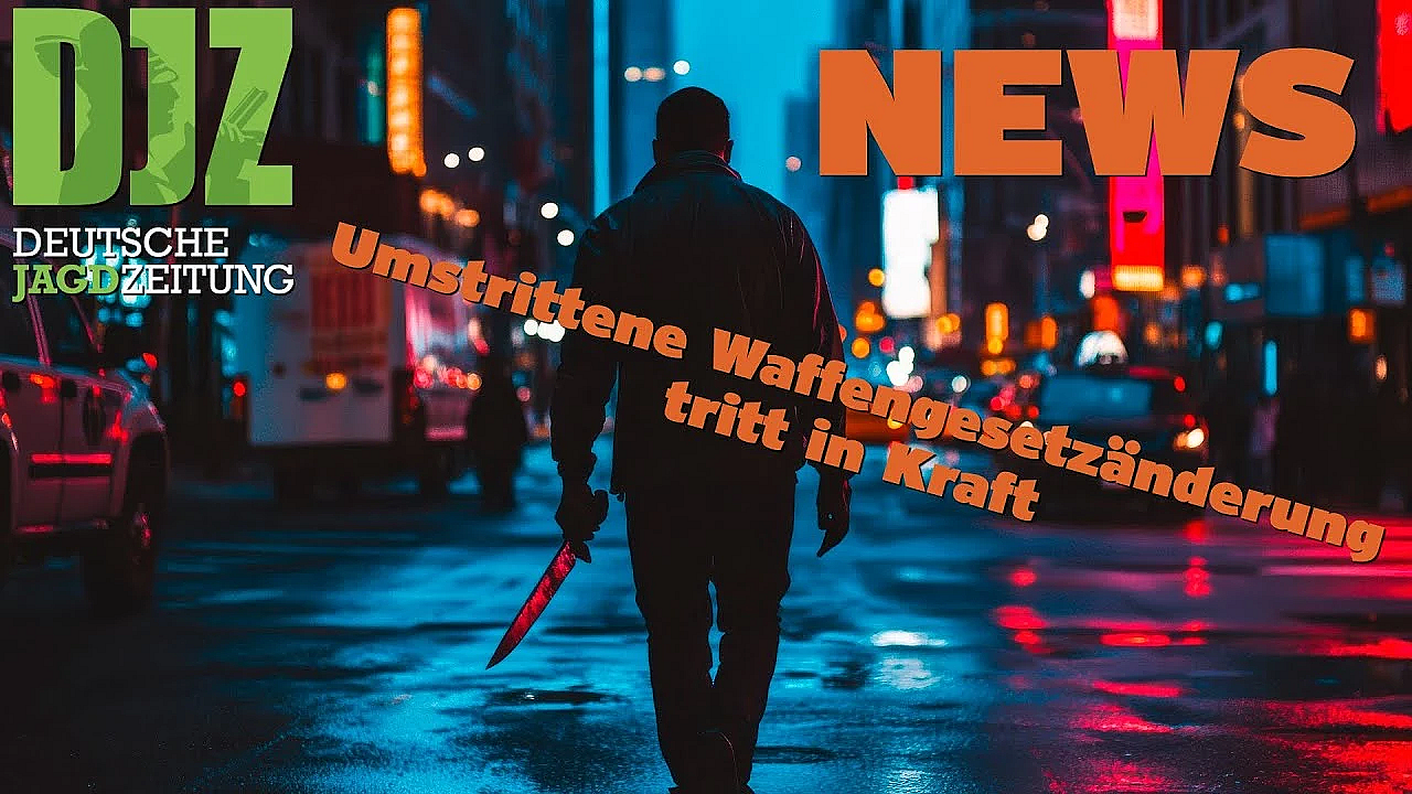 Djz News 06 11 2024