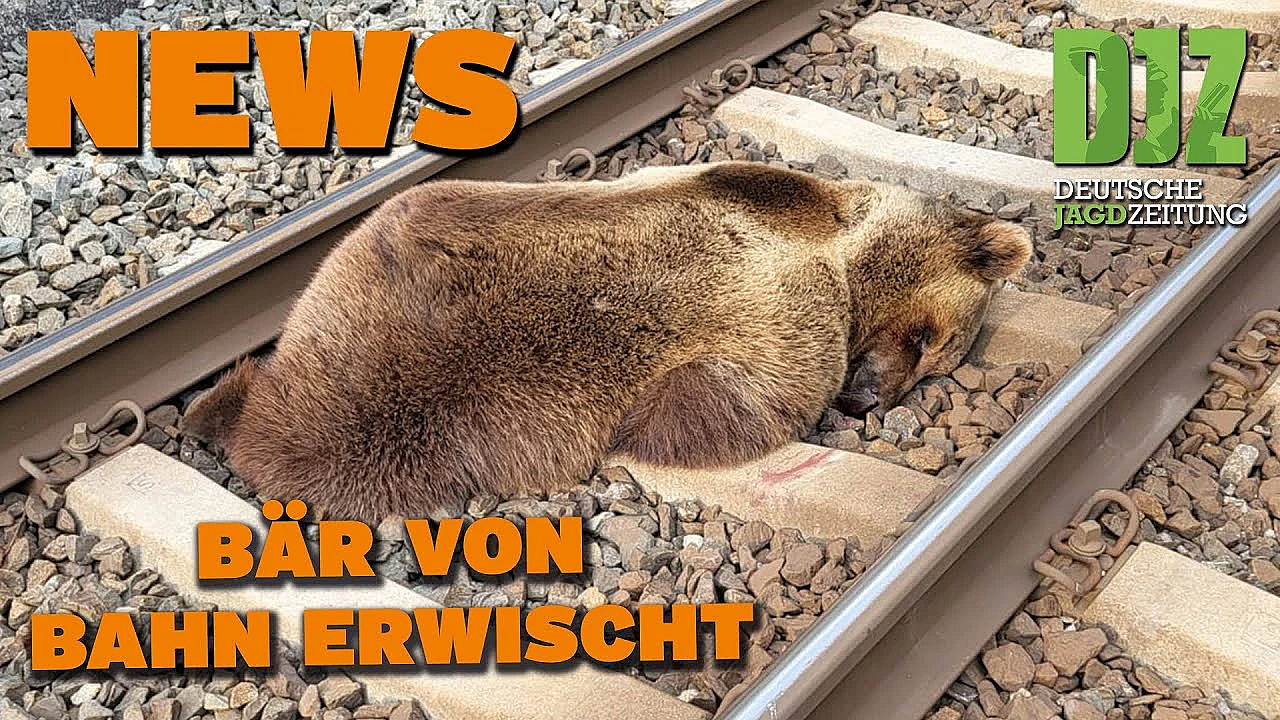 Djz News 24.05.2023