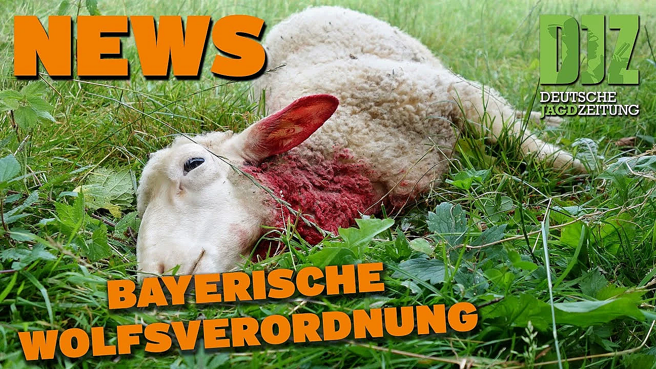 Djz News 26.04.2023