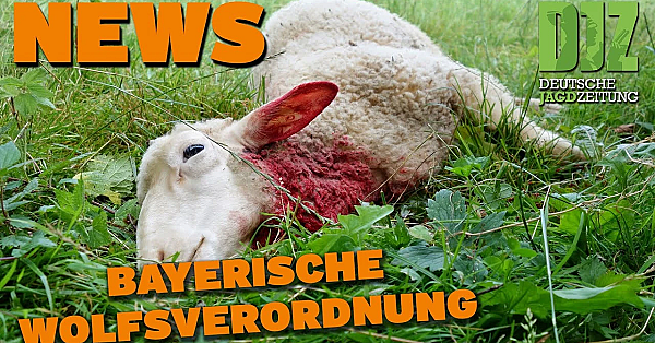 Djz News 26.04.2023