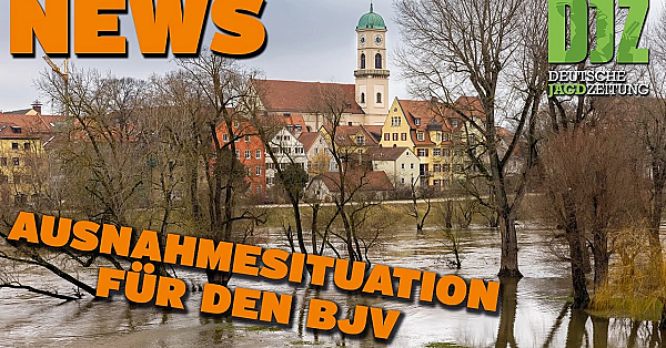 Djz News 05.06.2024