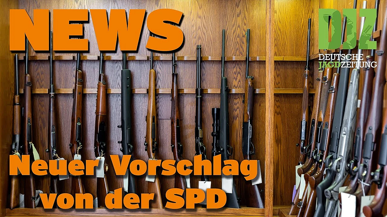 Djz News 04.01.2023