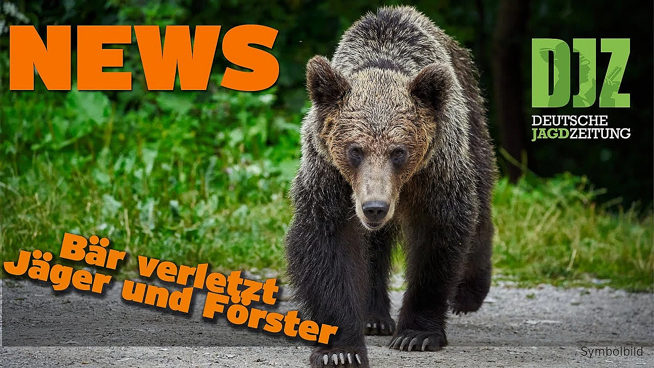 Djz News 03.05.2023