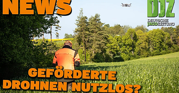 Djz News 13.03.2024
