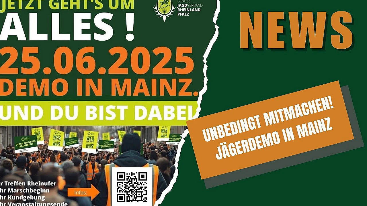Djz News 28 05 2025