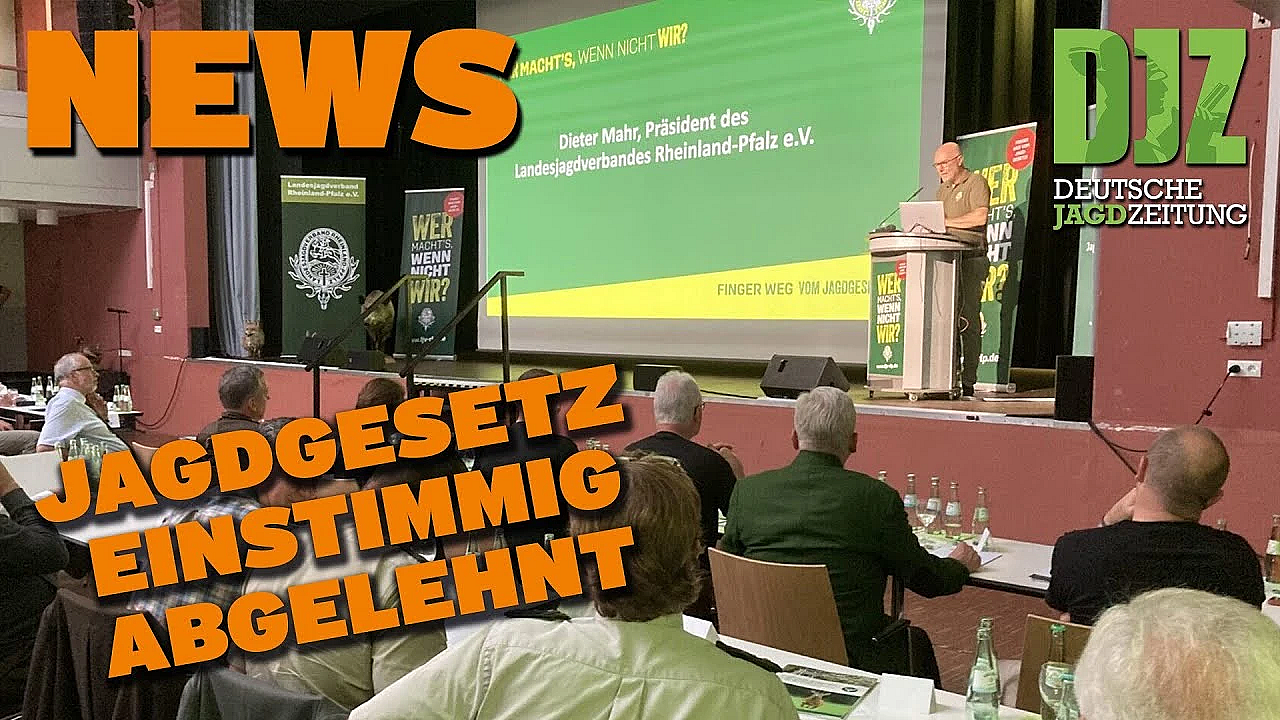 Djz News 23.08.2023