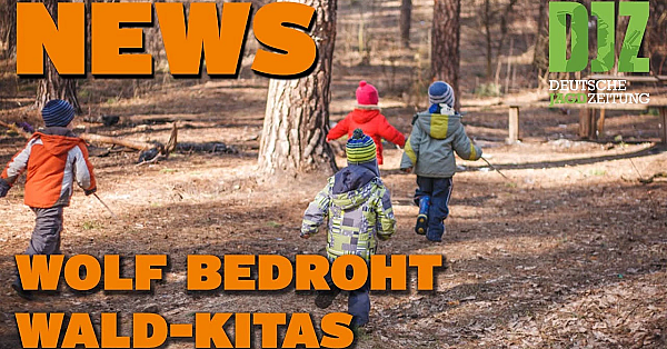 Djz News 15.02.2023
