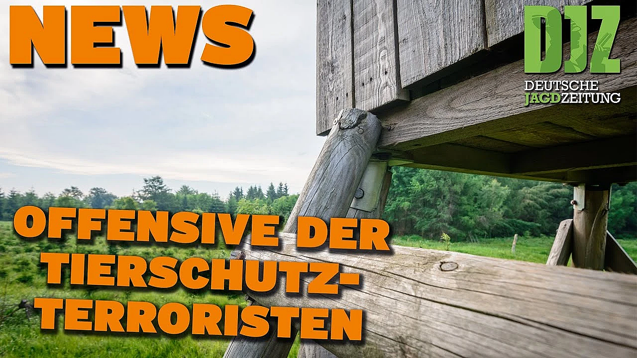 Djz News 06.03.2024