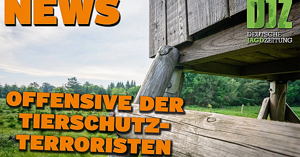 Djz News 06.03.2024