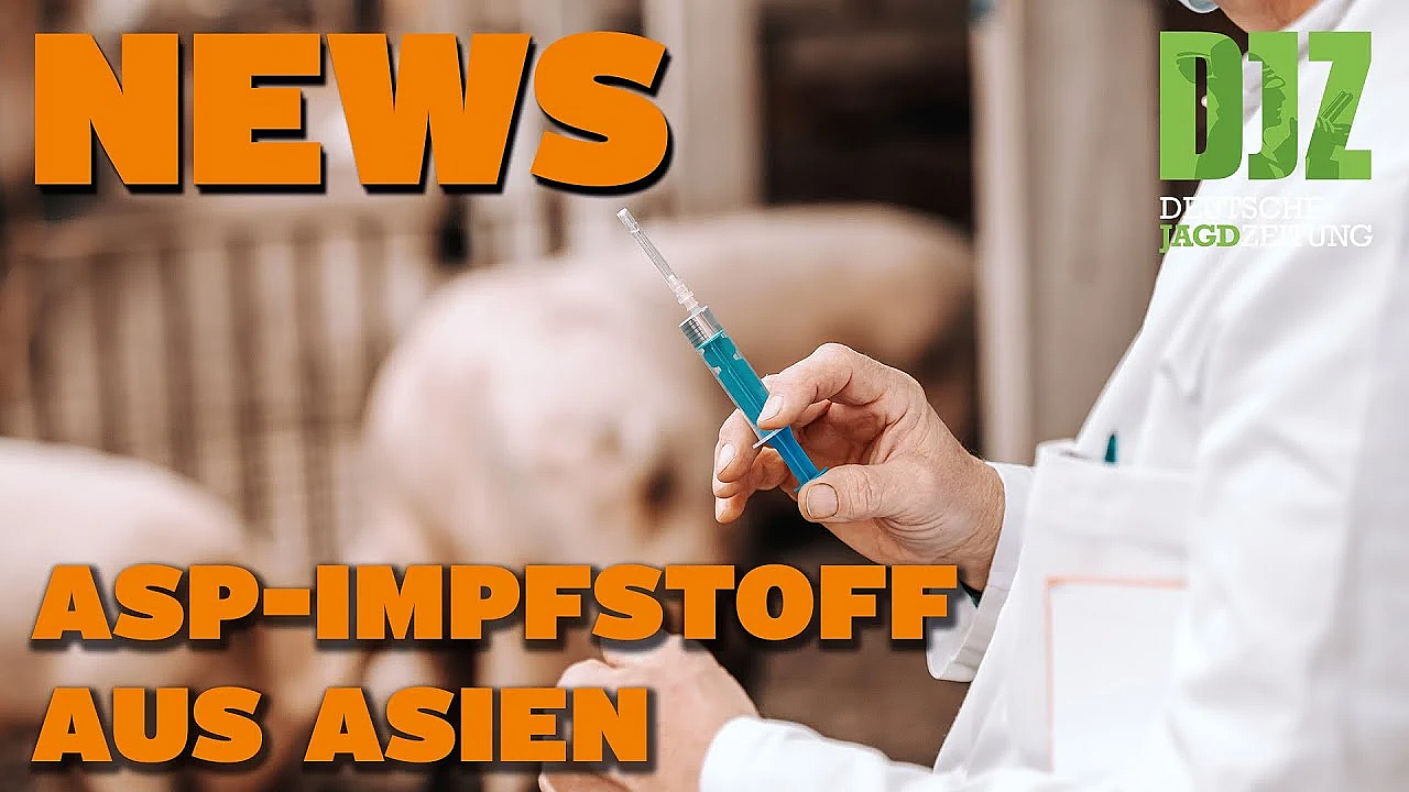 Djz News 08.02.2023