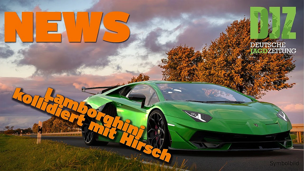 Djz News 19.04.2023