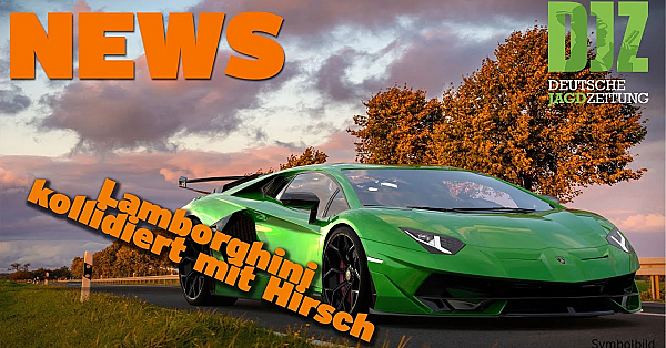 Djz News 19.04.2023