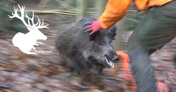 Best Of DrÜckjagd - Dreispross - Hod