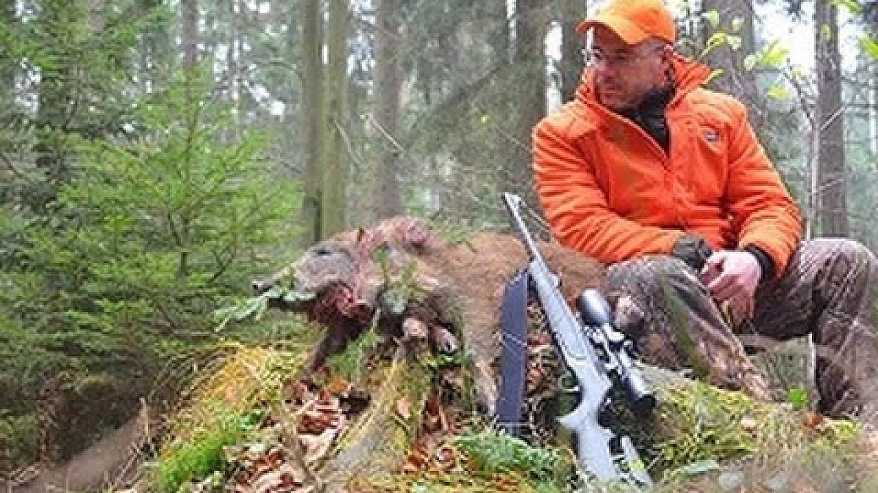 Drückjagd 2016