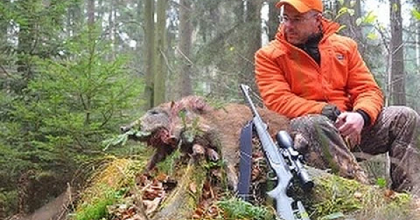 Drückjagd 2016