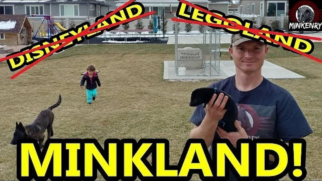 Mink Land!