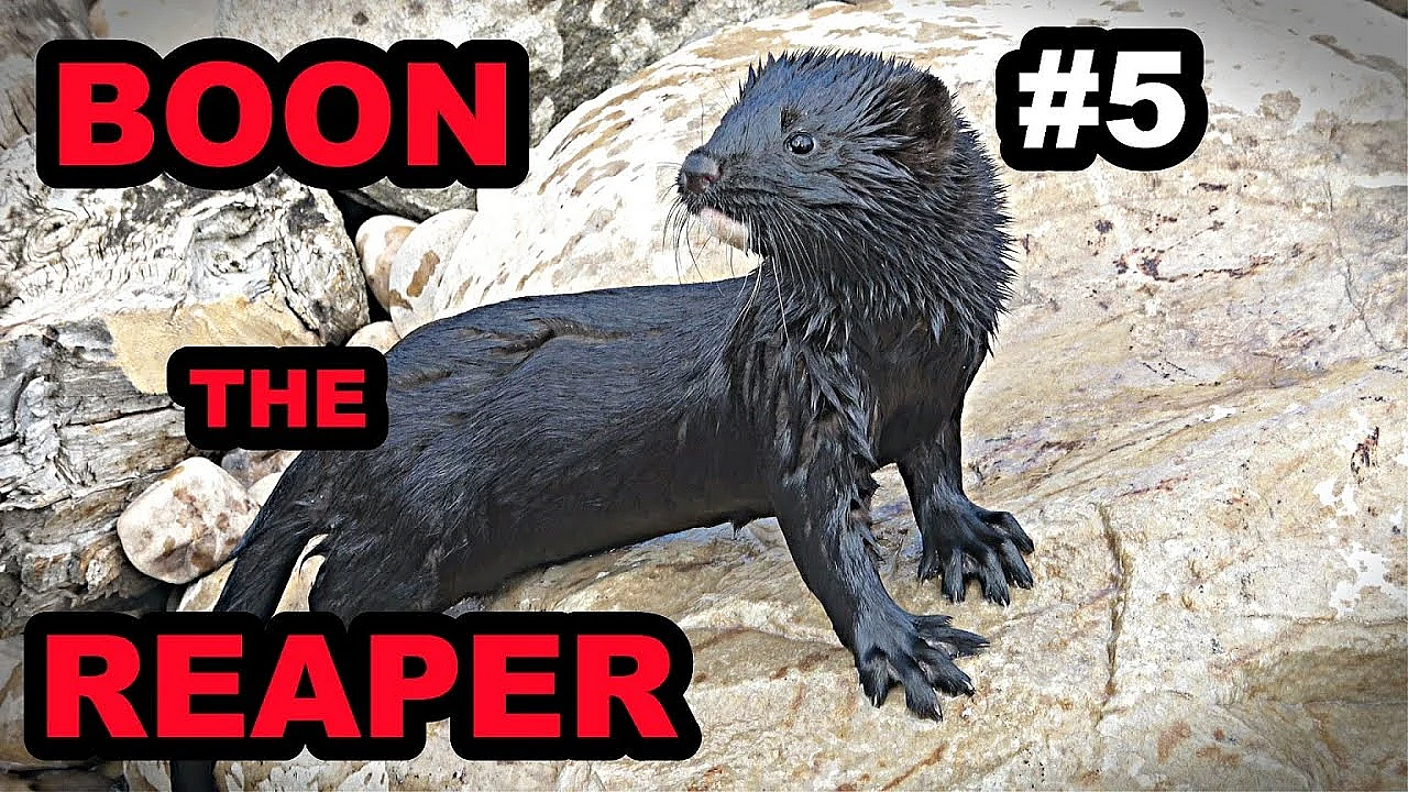 5 Boon The Reaper
