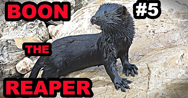 5 Boon The Reaper