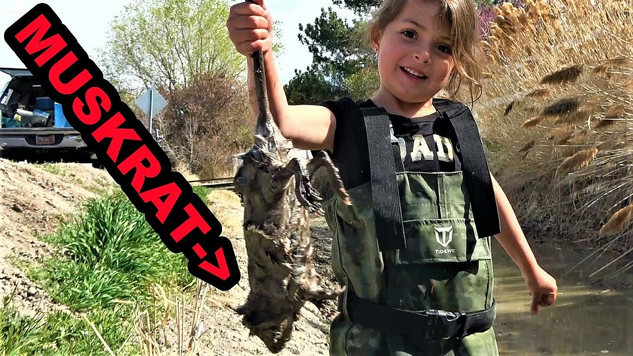Muskrat Jackpot!