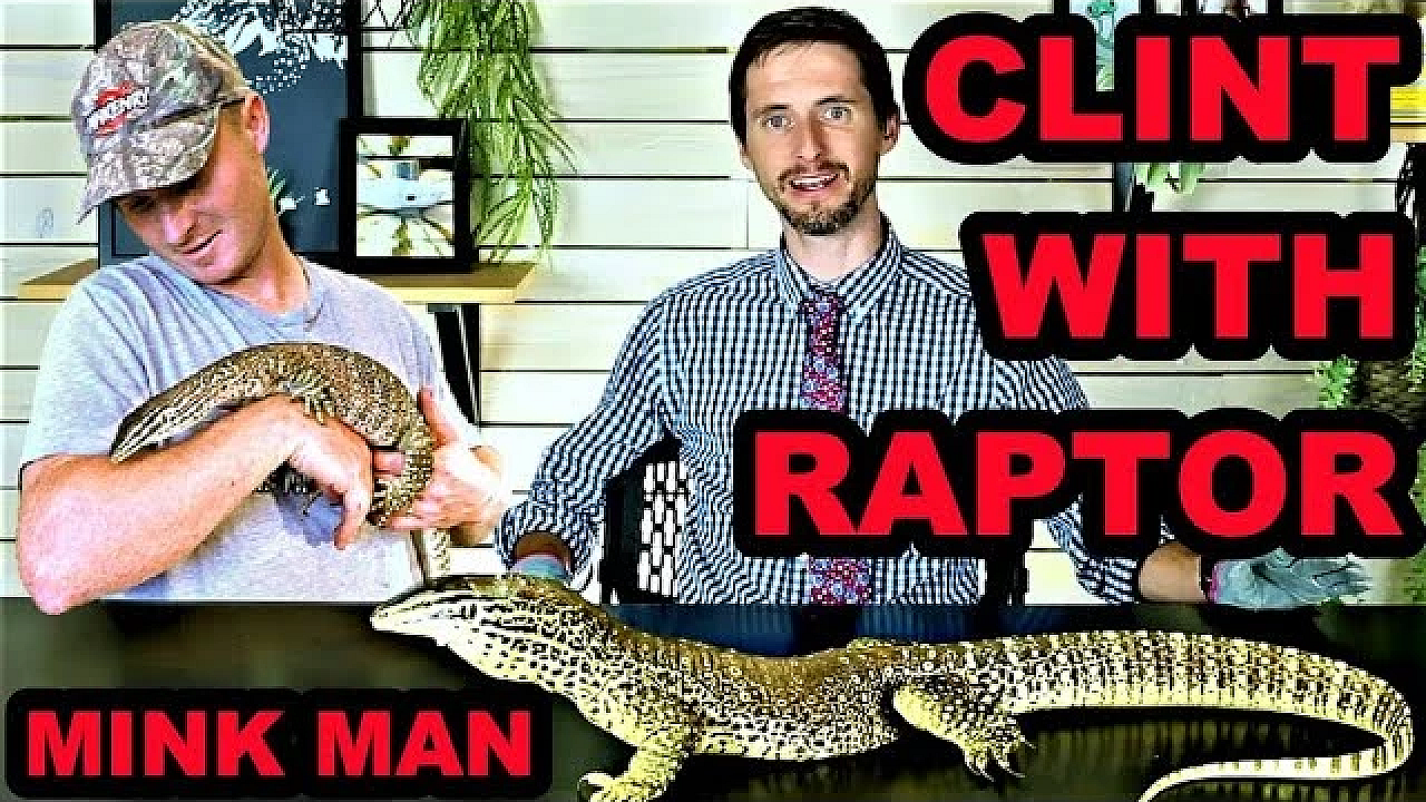 Raptor's New Home!