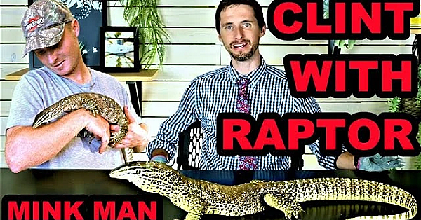 Raptor's New Home!