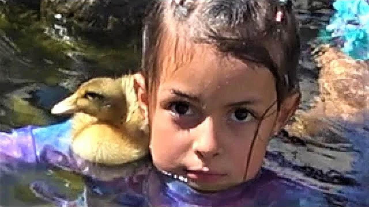 Ping The Duckling