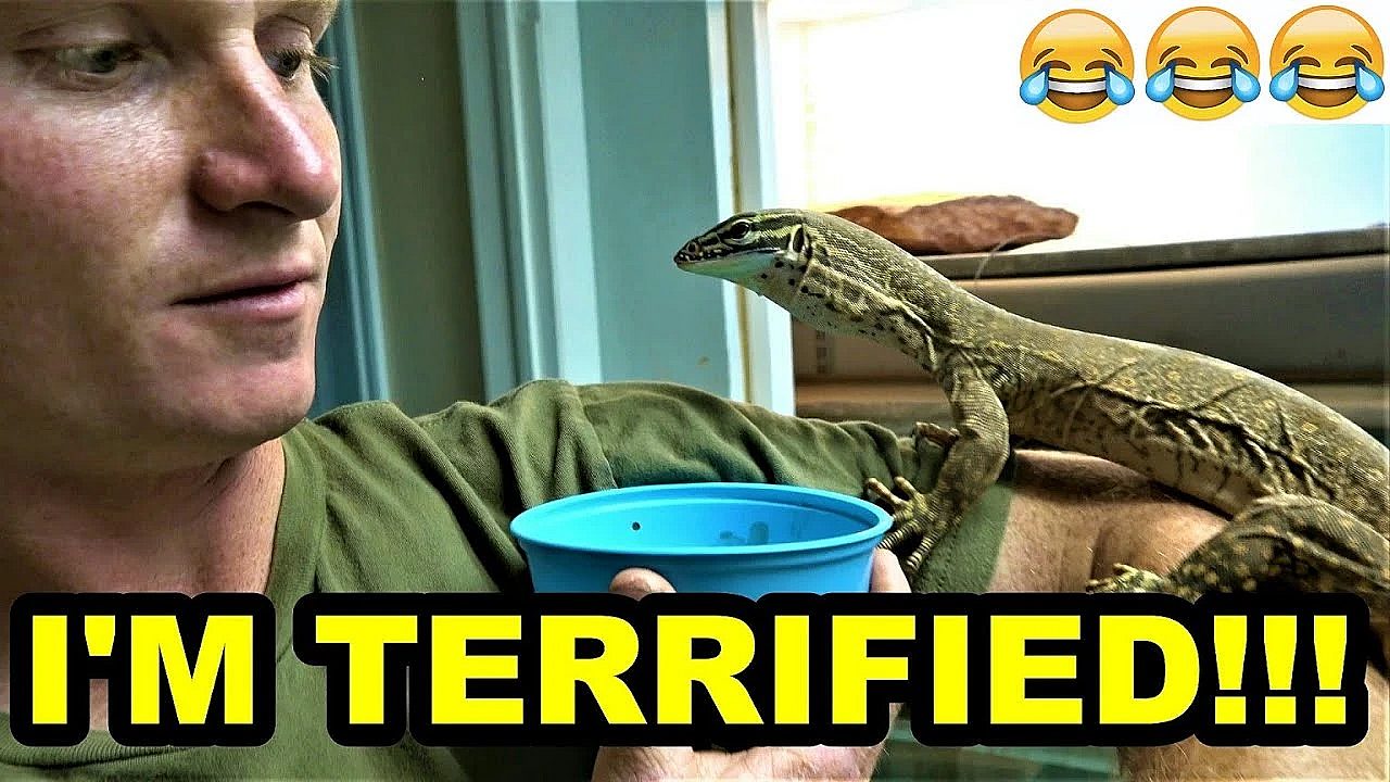 New Raptor Update!