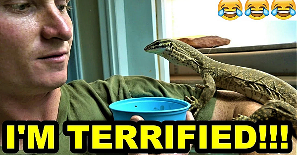 New Raptor Update!