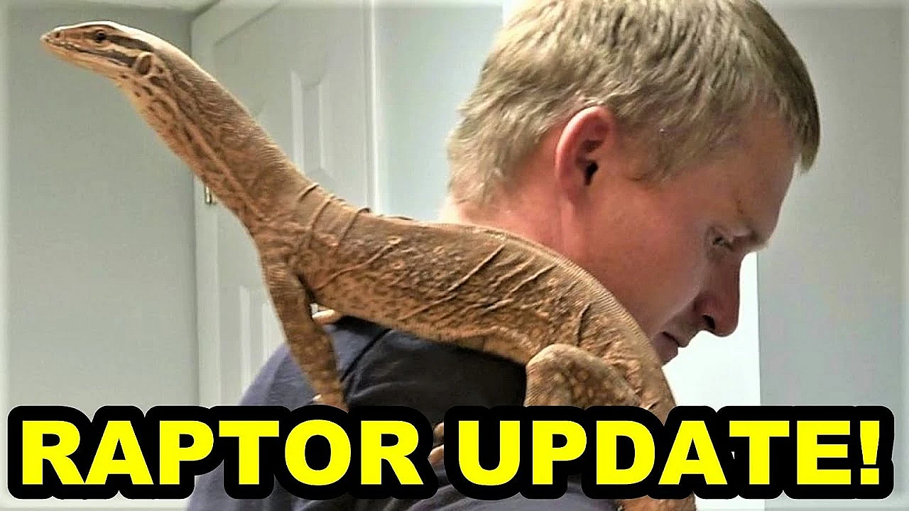 Raptor!!!!