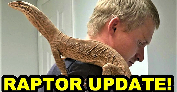 Raptor!!!!